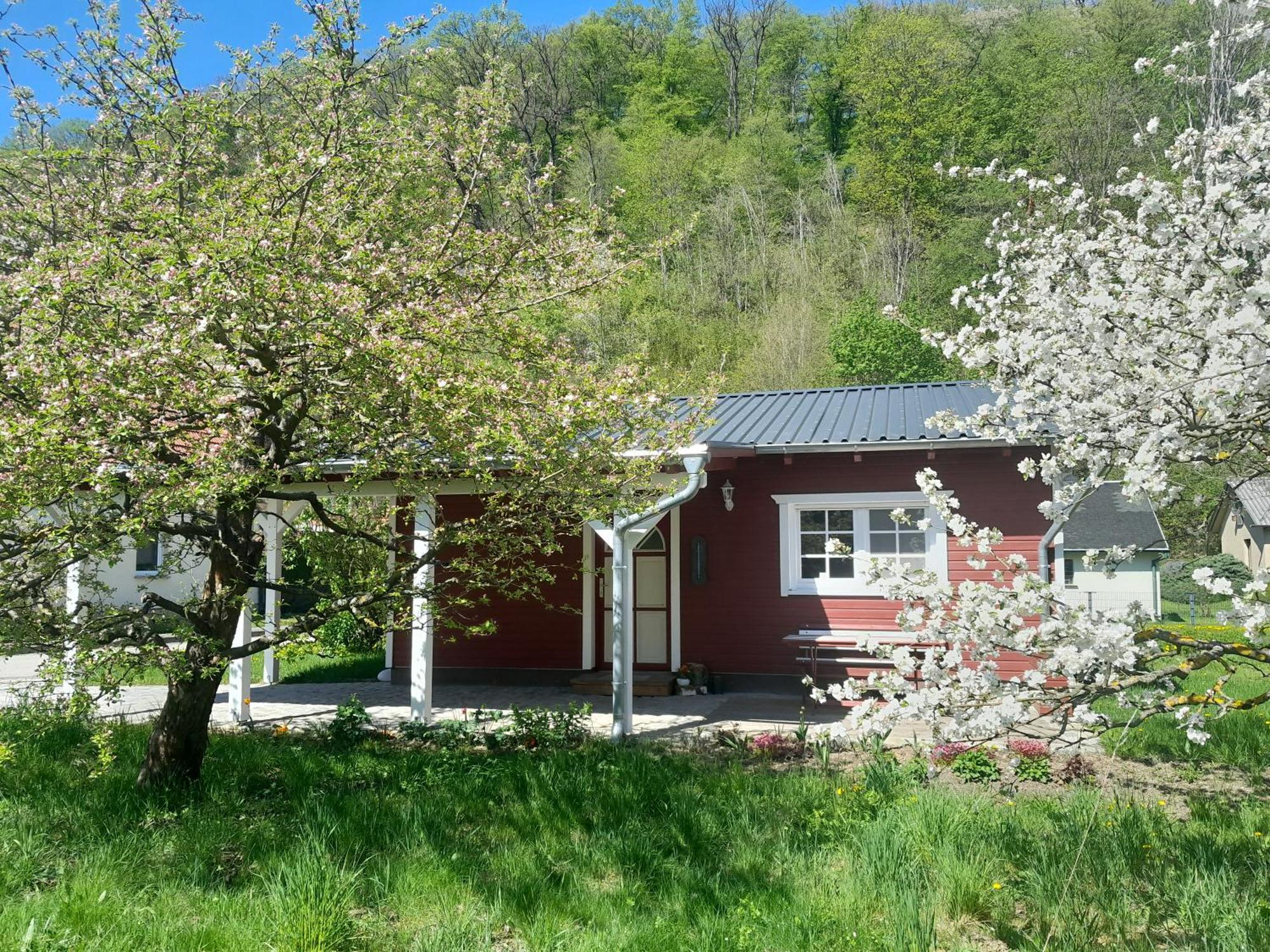 Ferienhaus Am Wald Wippra Zewnętrze zdjęcie